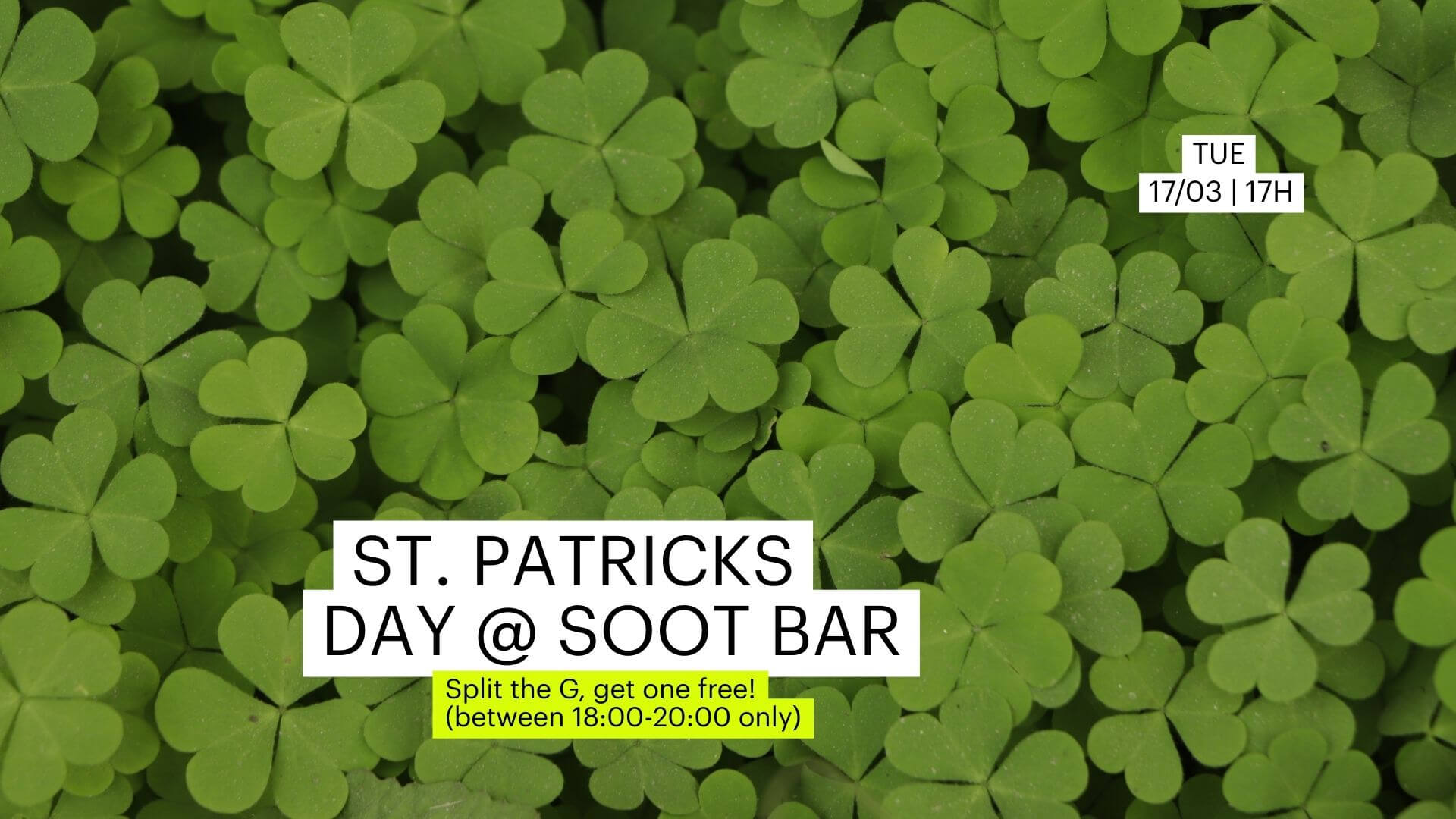 St Patrick's Day 2026, 17/03