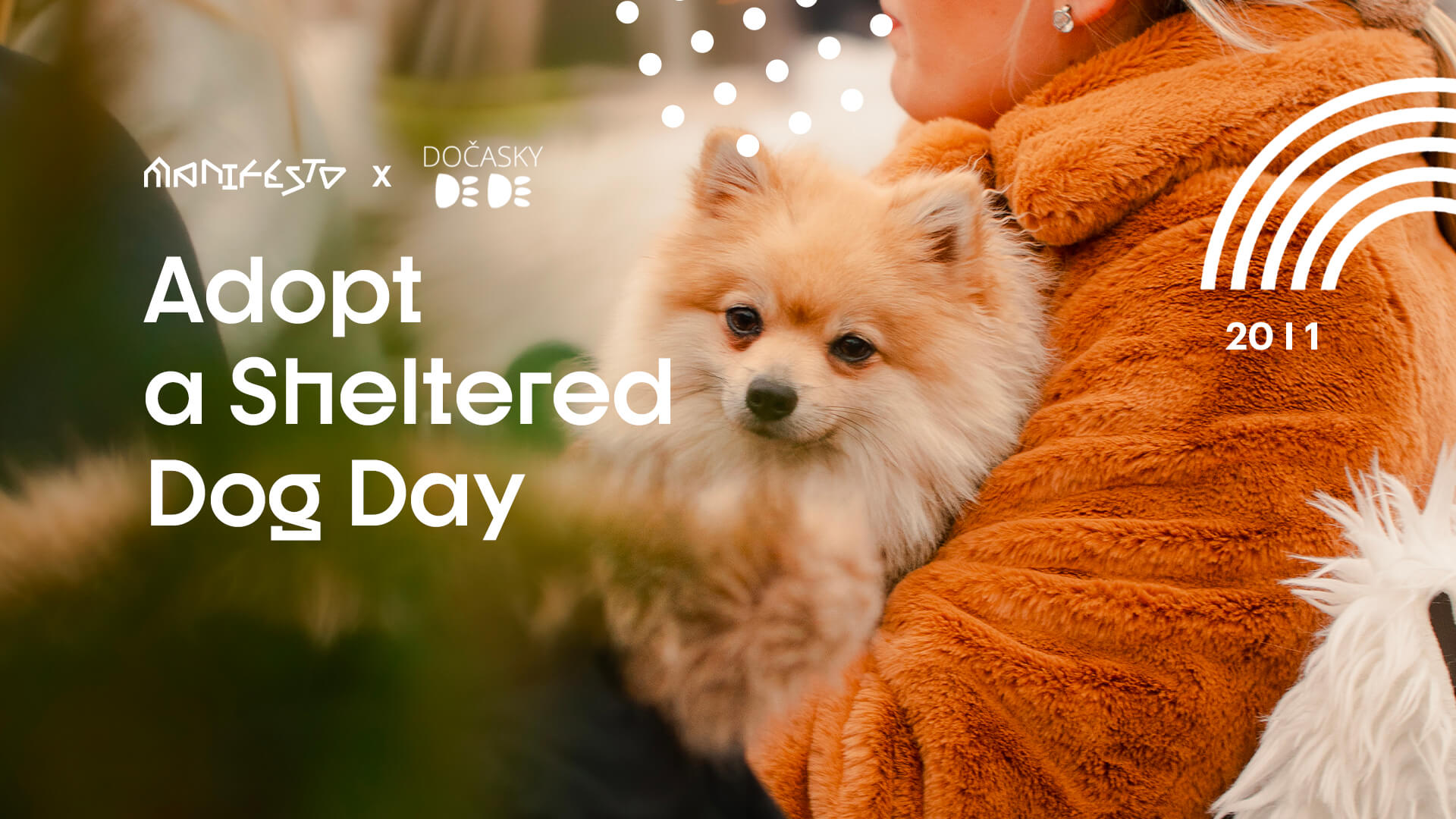 Adopt a Sheltered Dog Day, 20/01