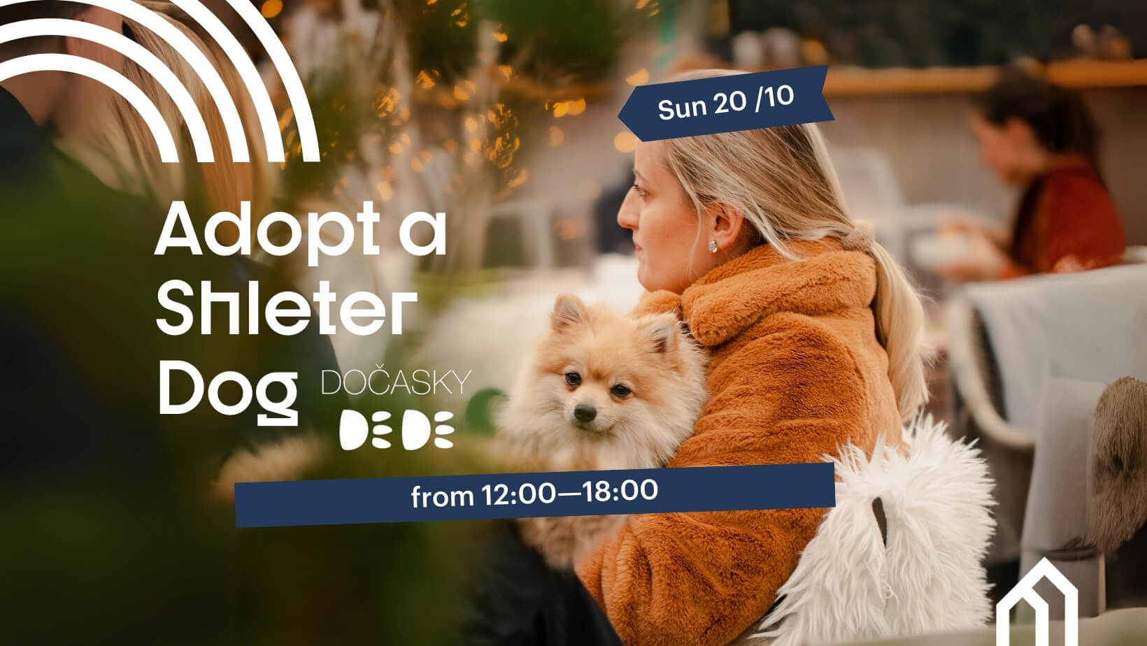 Adopt a Shelter Dog, 20/10
