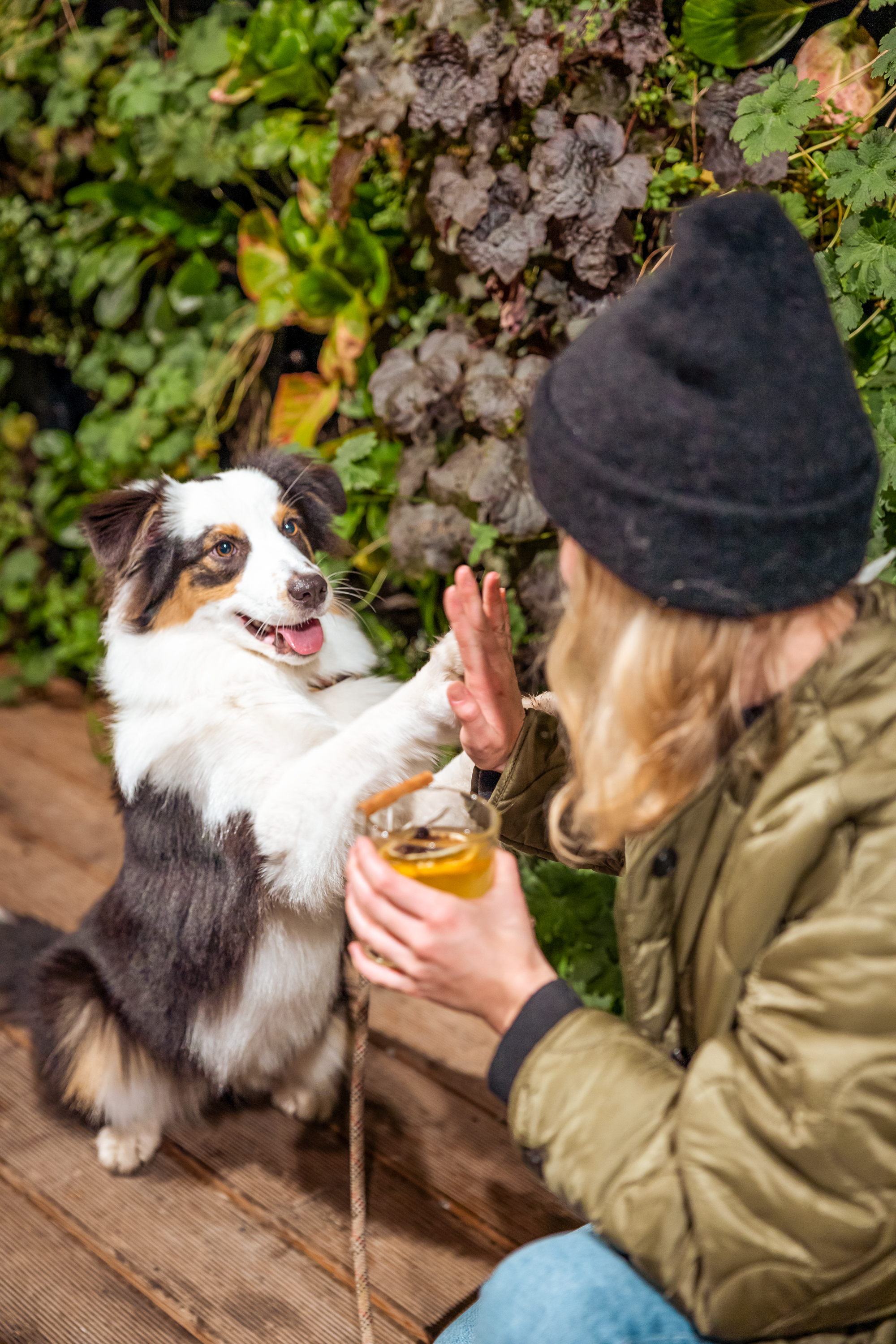 Adopt a Shelter Dog Event with Dočasky De De at Manifesto Market Anděl