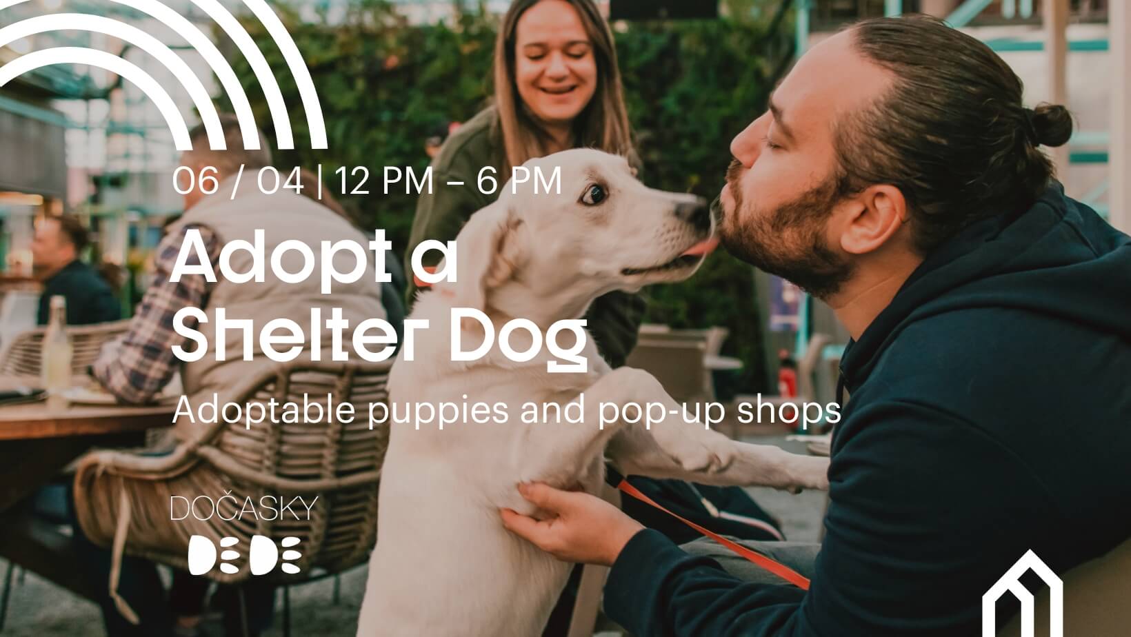 Adopt a Shelter Dog April