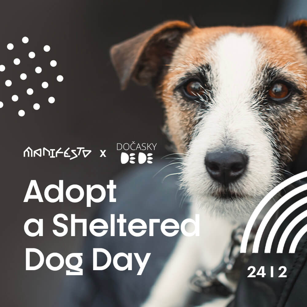 Adopt A Sheltered Dog Day